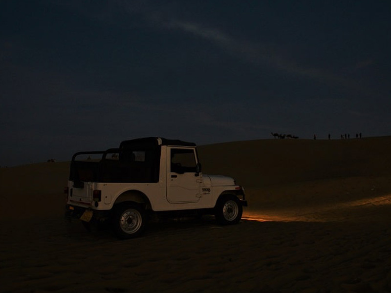 night-safari